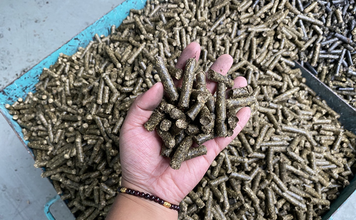 生物質(zhì)能源是天然的綠色燃料，燃燒后從原料再生到能源轉(zhuǎn)化，可全周期趨于碳的零排放。因此實現(xiàn)碳中和目標，生物質(zhì)能大有可為